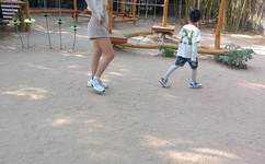 特朗普开始自我隔离